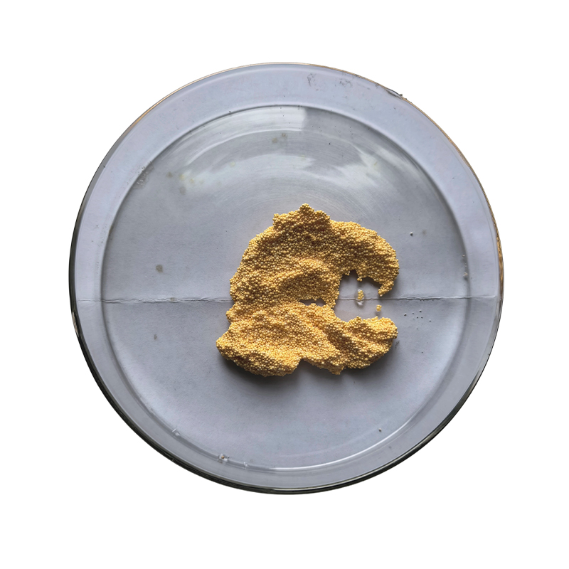 Alkaline Gold Cyanide Extraction Resin